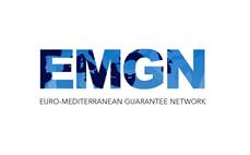 شبكة الضمان الأورومتوسطية (EMGN)